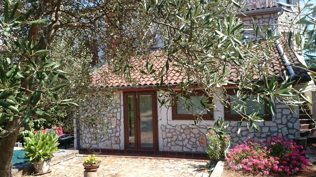 Collins Apartments بولا المظهر الخارجي الصورة